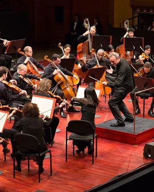 The Snowman - Film With Live Orchestra Cleveland