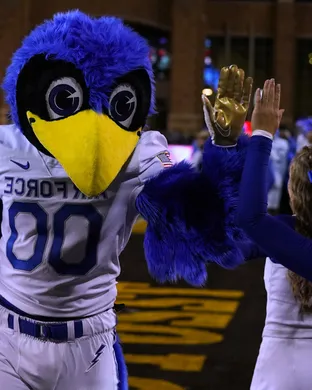 Air Force Falcons Football Usaf Academy