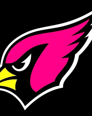 Arizona Cardinals Canton