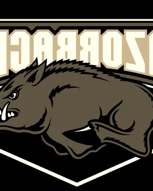 Arkansas Razorbacks Fayetteville