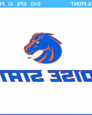 Boise State Broncos Kalamazoo