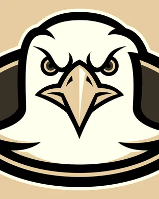 Boston College Eagles Football Notre Dame
