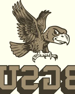 Bowling Green Falcons Bowling Green