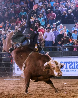 Bull Riding Medina