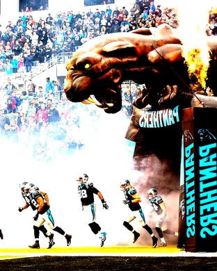 Carolina Panthers Canton