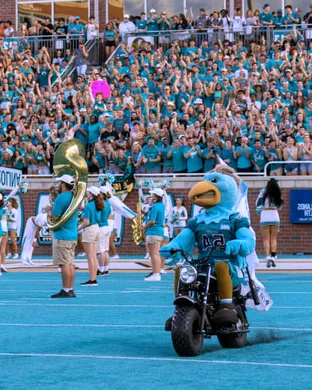 Coastal Carolina Chanticleers Jonesboro