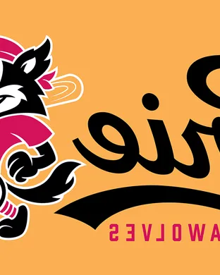 Erie Seawolves Akron