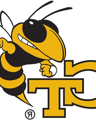 Georgia Tech Yellow Jackets Atlanta