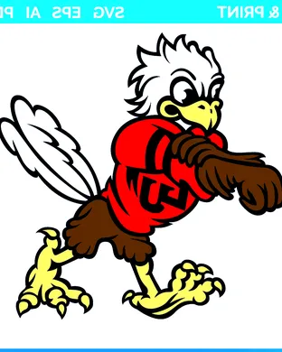 Liberty Flames Harrisonburg