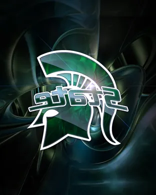 Michigan State Spartans Notre Dame