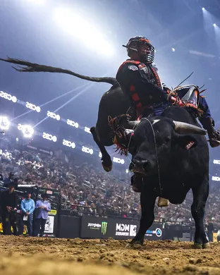 Professional Championship Bull Riders