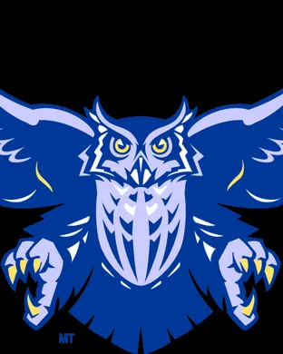 Rice Owls Football Notre Dame