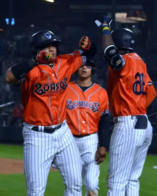 Somerset Patriots Akron