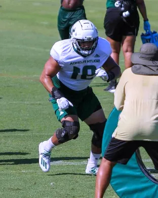 South Florida Bulls Football Tampa