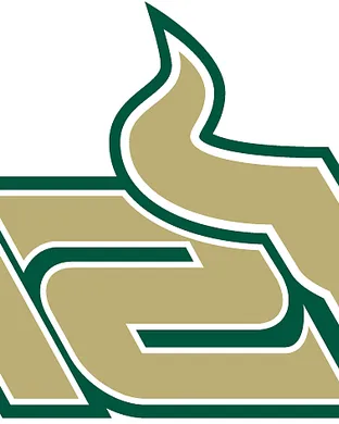 South Florida Bulls Tampa