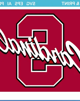 Stanford Cardinal Notre Dame