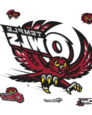 Temple Owls Tampa