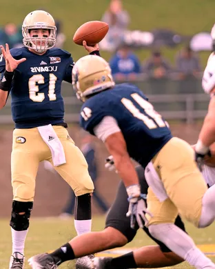 Uc Davis Aggies San Jose