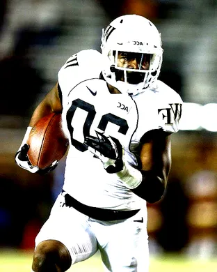 Wake Forest Demon Deacons Football Winston Salem