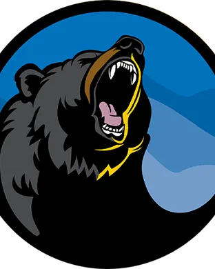 West Virginia Black Bears Niles