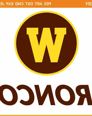 Western Michigan Broncos vs. Minnesota Duluth Bulldogs Hockey
