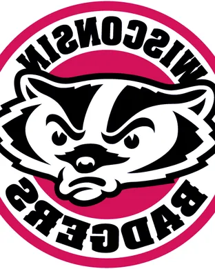 Wisconsin Badgers Green Bay